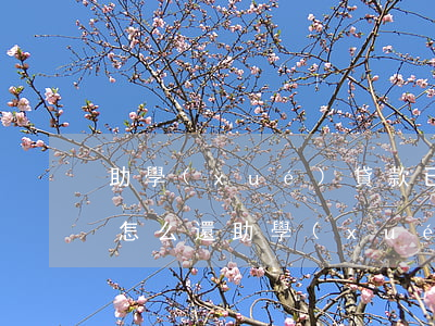 助學(xué)貸款已經(jīng)逾期怎么還(助學(xué)貸款不小心逾期了)