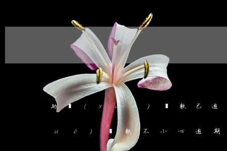 助學(xué)貸款已逾期三年了(助學(xué)貸款不小心逾期了)
