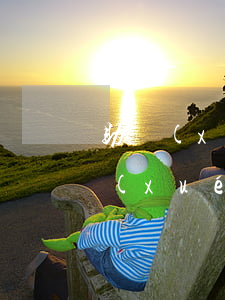 助學(xué)貸款已逾期怎么還(國家助學(xué)金貸款逾期怎么還款)