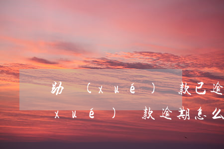 助學(xué)貸款已逾期怎么還款(助學(xué)貸款逾期怎么補(bǔ)救如何補(bǔ)救)