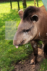 助學(xué)貸款怎么樣叫逾期(助學(xué)貸款逾期可以消除嗎)