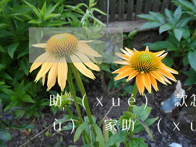 助學(xué)貸款怎么看逾期次數(shù)(國家助學(xué)貸款多久算逾期)