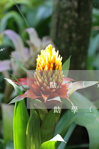 助學(xué)貸款怎樣查詢逾期(如何查詢助學(xué)貸款)