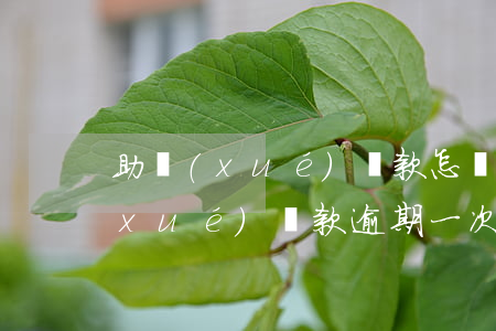 助學(xué)貸款怎樣算逾期一次(助學(xué)貸款逾期一次,就一天會有記錄么)