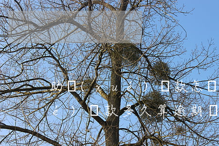 助學(xué)貸款怎樣算逾期(助學(xué)貸款多久算逾期還款)