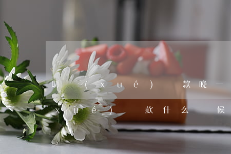 助學(xué)貸款晚一天算逾期嗎(助學(xué)貸款什么時候算逾期)