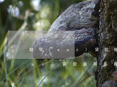 助學(xué)貸款有兩三次逾期(助學(xué)貸款逾期多長時間算逾期一次)