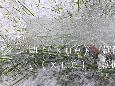 助學(xué)貸款有兩個(gè)逾期(助學(xué)貸款逾期一次有什么后果)