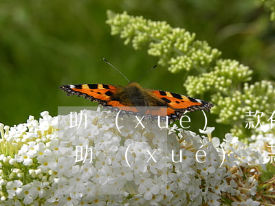 助學(xué)貸款有逾期6個(gè)月(助學(xué)貸款利息逾期3個(gè)月)