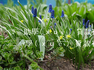 助學(xué)貸款有逾期能辦信用卡不 助學(xué)貸款有逾期能辦信用卡不