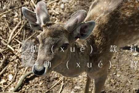 助學(xué)貸款沒有逾期不影響公積金-助學(xué)貸款沒有逾期不影響公積金嗎