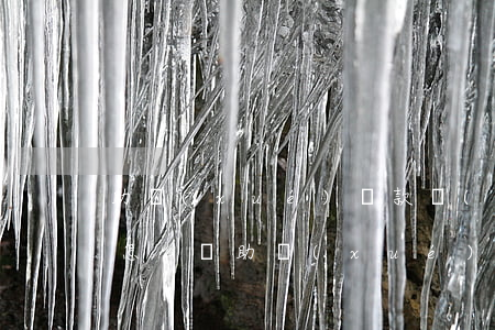 助學(xué)貸款產(chǎn)生逾期怎么辦(助學(xué)貸款產(chǎn)生逾期怎么辦)
