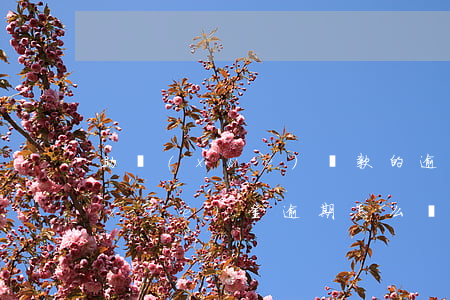 助學(xué)貸款的逾期能消除嗎(助學(xué)金逾期怎么辦?)