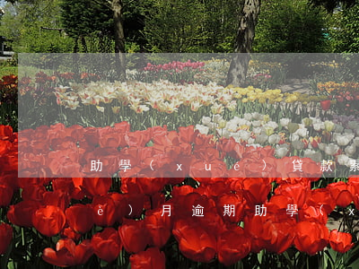助學(xué)貸款累計(jì)4個(gè)月逾期(助學(xué)貸款逾期兩個(gè)月怎么辦)