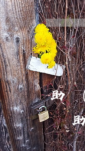 助學(xué)貸款結(jié)清逾期記錄(助學(xué)貸款逾期后一次性還清)