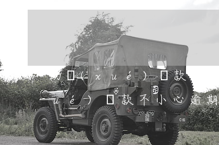 助學(xué)貸款貸款逾期未還(助學(xué)貸款不小心逾期了)