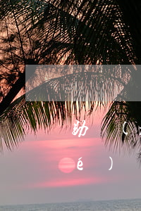 助學(xué)貸款造成逾期了(助學(xué)貸款不小心逾期了)