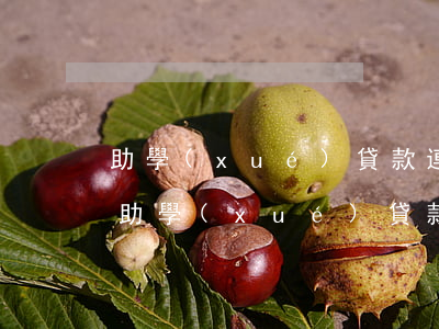 助學(xué)貸款連續(xù)逾期多次(助學(xué)貸款不小心逾期了)