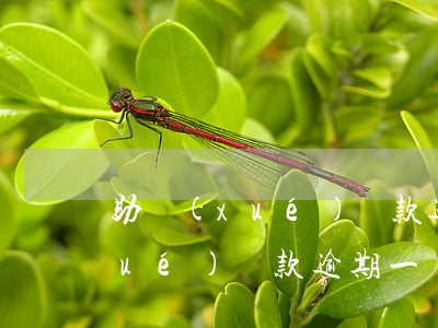 助學(xué)貸款逾期100次(助學(xué)貸款逾期一個(gè)月的罰款)
