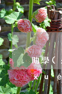 助學(xué)貸款逾期3天怎么辦(助學(xué)貸款逾期1天怎么補救)