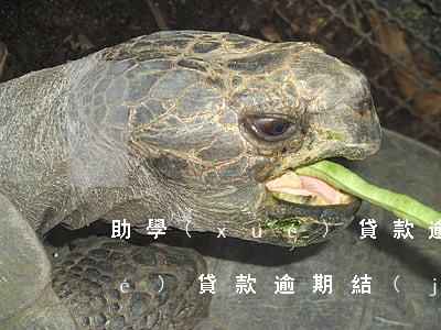 助學(xué)貸款逾期40期(助學(xué)貸款逾期結(jié)清已經(jīng)4年)