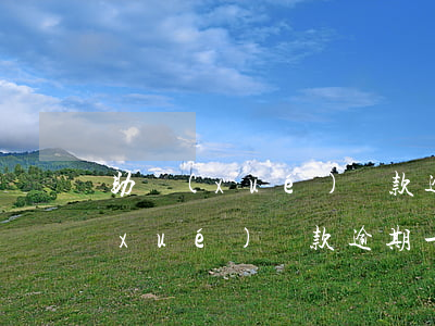 助學(xué)貸款逾期7次的影響(助學(xué)貸款逾期一次有什么后果)