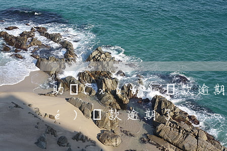 助學(xué)貸款逾期91元(助學(xué)貸款逾期了)