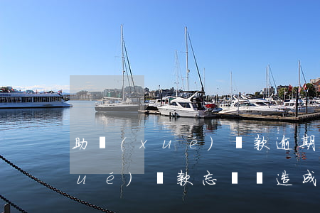 助學(xué)貸款逾期三天沒還(助學(xué)貸款忘記還造成逾期怎么辦)