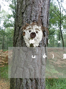 助學(xué)貸款逾期上征信嘛(助學(xué)金貸款逾期征信問題怎么辦)