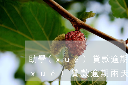 助學(xué)貸款逾期了六期以上(助學(xué)貸款逾期兩天影響)