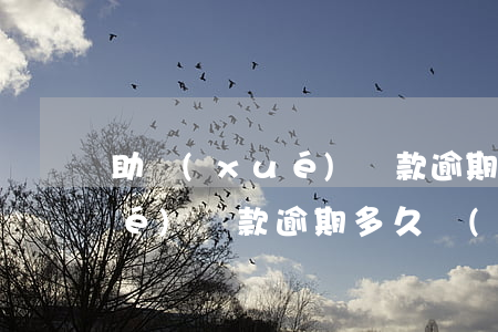 助學(xué)貸款逾期了半月(助學(xué)貸款逾期多久嚴(yán)重)