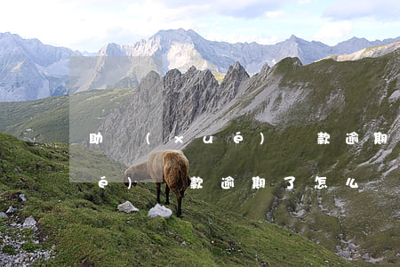 助學(xué)貸款逾期了怎么(助學(xué)貸款逾期了怎么辦)