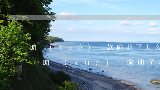 助學(xué)貸款逾期了怎么補(bǔ)還(助學(xué)貸逾期了怎么辦)