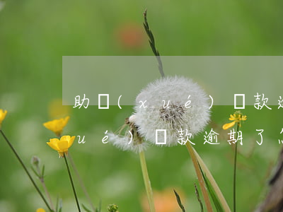 助學(xué)貸款逾期了怎么補(助學(xué)貸款逾期了怎么辦)