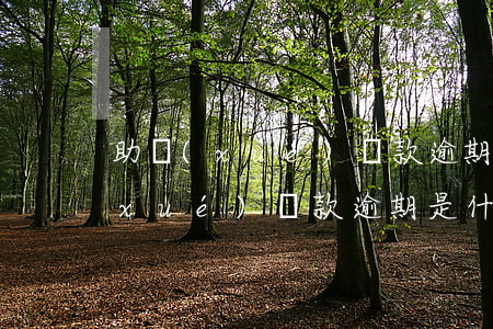 助學(xué)貸款逾期了怎么解釋(助學(xué)貸款逾期是什么意思)