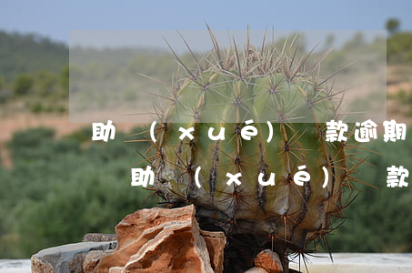 助學(xué)貸款逾期了會(huì)怎樣(助學(xué)貸款不小心逾期了)
