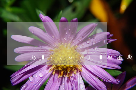助學(xué)貸款逾期了該怎么辦