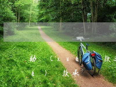 助學(xué)貸款逾期保證書(助學(xué)貸款承諾書)