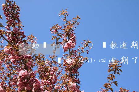 助學(xué)貸款逾期兩三天(助學(xué)貸款不小心逾期了幾天怎么辦)
