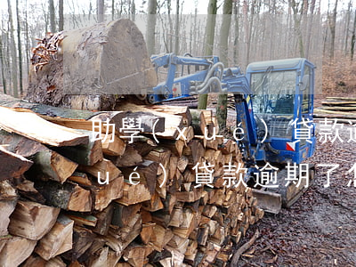 助學(xué)貸款逾期利息還款(助學(xué)貸款逾期了怎么還本金)