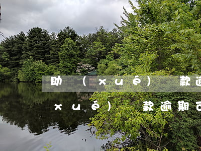 助學(xué)貸款逾期可以去還嗎(助學(xué)貸款逾期可以去還嗎)