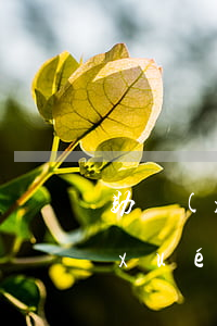 助學(xué)貸款逾期可以商貸嗎(助學(xué)貸款逾期可以商貸嗎)