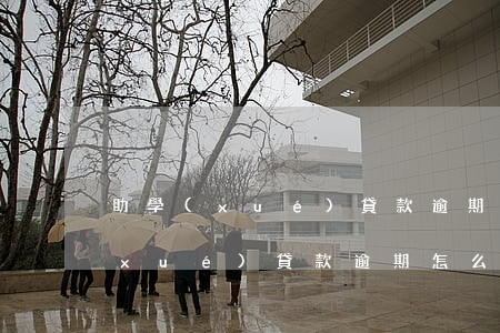 助學(xué)貸款逾期可以消除嗎(助學(xué)貸款逾期怎么補(bǔ)救)