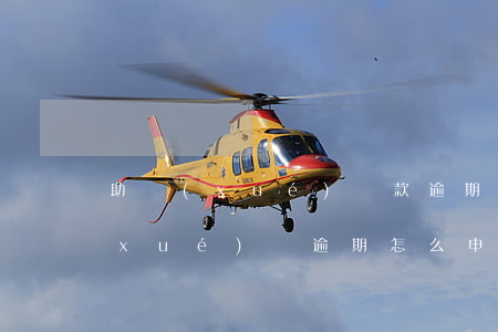助學(xué)貸款逾期可以申訴嗎(助學(xué)貸逾期怎么申請消除)