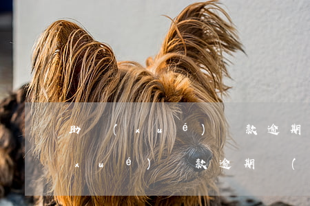 助學(xué)貸款逾期可以車貸嗎(助學(xué)貸款逾期會(huì)怎么樣)