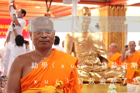 助學(xué)貸款逾期回收工作-助學(xué)貸款逾期了怎么恢復(fù)征信