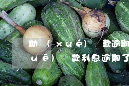 助學(xué)貸款逾期壞款流程(助學(xué)貸款利息逾期了怎么還)
