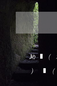 助學(xué)貸款逾期多長(zhǎng)時(shí)間(助學(xué)貸款利息逾期幾天怎么辦)