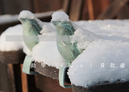 助學(xué)貸款逾期如何查詢