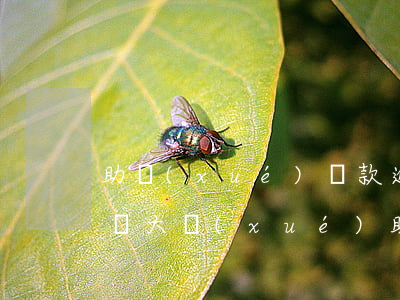 助學(xué)貸款逾期學(xué)生名單(大學(xué)助學(xué)貸款逾期多久會(huì)上黑名單)